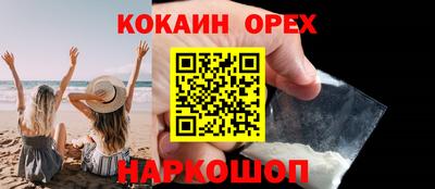 гидропоника Камышлов