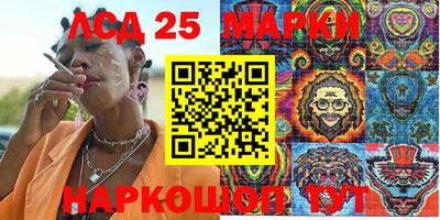гидропоника Камышлов