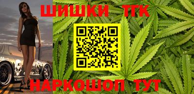 гидропоника Камышлов