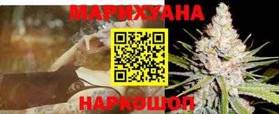 гидропоника Камышлов